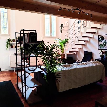 Accogliente Loft In Palazzo Storico Centrale 博洛尼亚 外观 照片